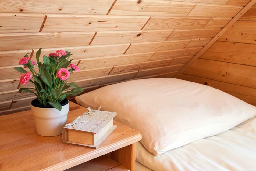 Sosnowa Mila - Domy I Apartamenty Pobierowo Ngoại thất bức ảnh